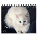 Search for persian office supplies Tabby