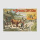 Search for cow and chicken tissue paper Animals