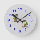 Search for conures photography Animal