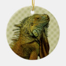 Search for iguana christmas tree decorations Lizard