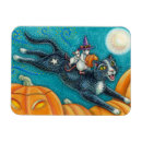 Search for scavenger magnets Susan brack
