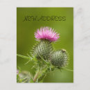 Search for thistle invitations Pink