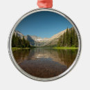 Search for montana christmas tree decorations Nature