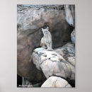 Search for cougar wild cat art Photography