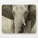 Search for wildlife mousepads Elephant