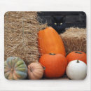 Search for pumpkin cat electronics Autumn