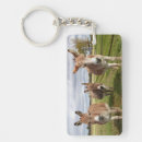 Search for donkey key rings Farm