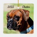 Search for white boxer christmas tree decorations Pet