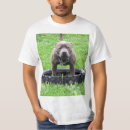 Search for staffy clothing Dog