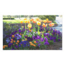 Search for burst art Flowers
