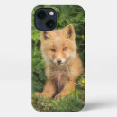 Search for baby fox iphone cases Animals in the wild