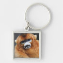 Search for selective focus key rings Looking