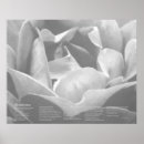 Search for desiderata posters Inspirational