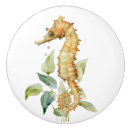 Search for seahorse knobs and pulls Marine life
