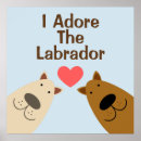 Search for labrador retriever posters Golden