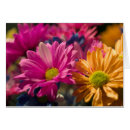 Search for powerfulness photography Flower