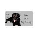Search for lab return address labels Cute puppy
