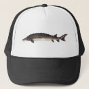 Search for common hats Fish