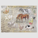 Search for sheep tissue paper Rooster