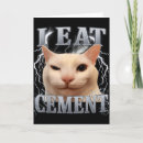 Search for cat meme cards Silly