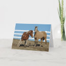 Search for argus cards Photography