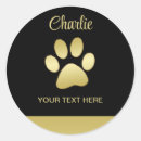 Search for gold paw stickers Dog