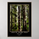 Search for totems posters Tlingit