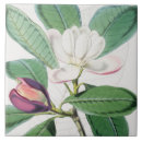 Search for white magnolia flower tiles Vintage