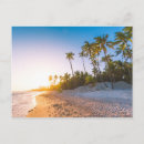 Search for sunset palm postcards Coastline