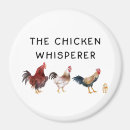 Search for chicken magnets Cute