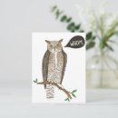 Search for bird nerd postcards Owl