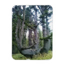 Search for spruce tree magnets Nature
