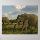 Search for african nations art Kenya