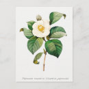 Search for vintage botanical postcards Flower