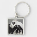 Search for dwarf key rings Animal
