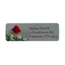 Search for gardener cards invites Roses