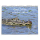 Search for alligator calendars Nature
