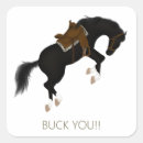Search for bucking horse stickers Cowgirl