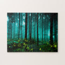 Search for firefly puzzles Night
