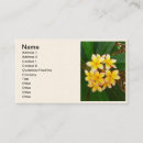 Search for frangipani business cards Plumeria