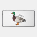 Search for anas electronics Bird