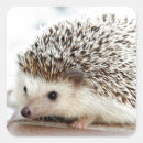 Search for cute hedgehog stickers Adorable