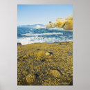 Search for the pacific posters Nature