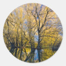 Search for broad stickers Autumn