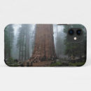 Search for sequoia iphone cases Forest