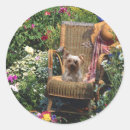 Search for yorkshire stickers Terrier