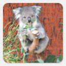 Search for snack stickers Red