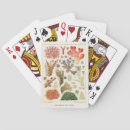 Search for australia playing cards Vintage