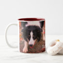 Search for stare mugs Dog