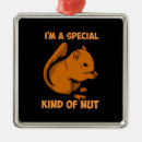 Search for nuts christmas tree decorations Animals